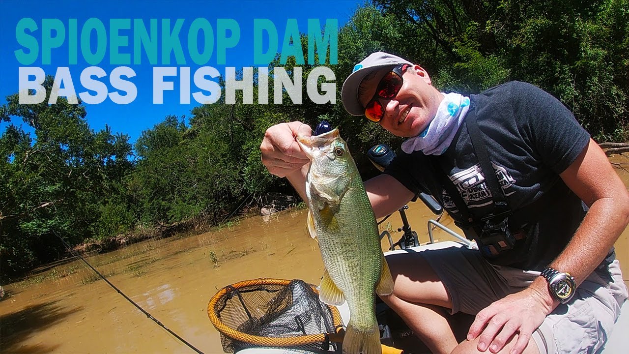 Bass fishing at Spioenkop Dam, South Africa (Feb 2021) - Dalmore Guest Farm