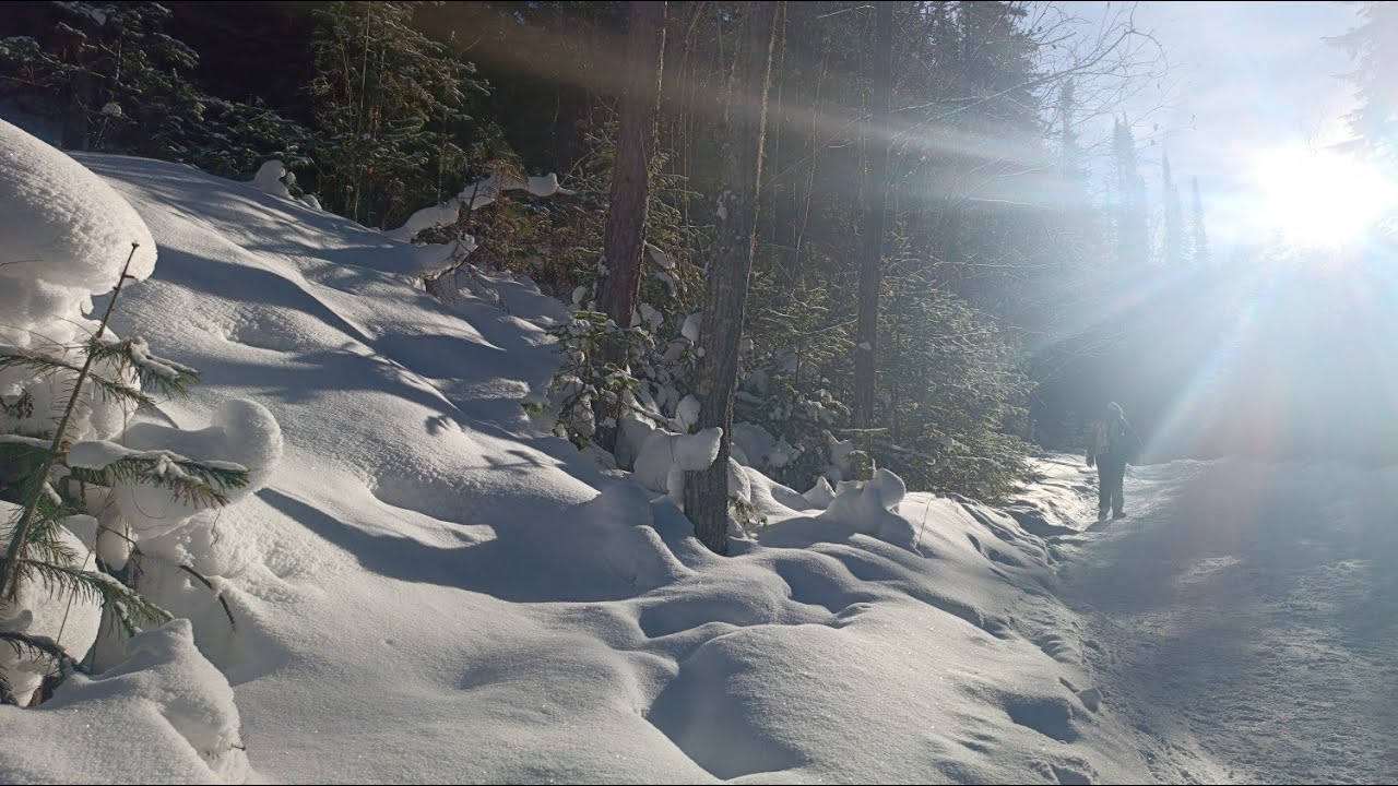 Экотропа Экоборус - водопад. Шушенский район, Красноярский край 10.02.2024г.  #борус  #сибирь