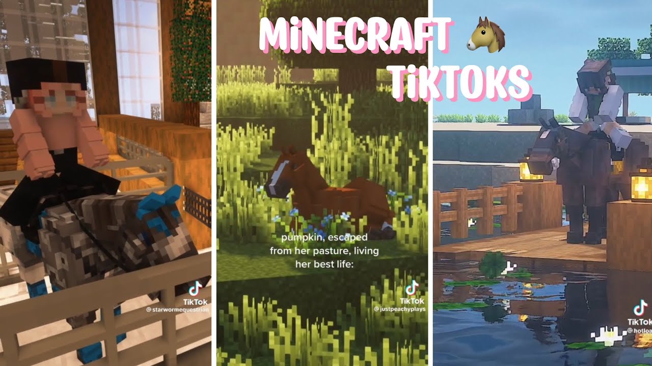 Minecraft equestrian TikToks!🐴