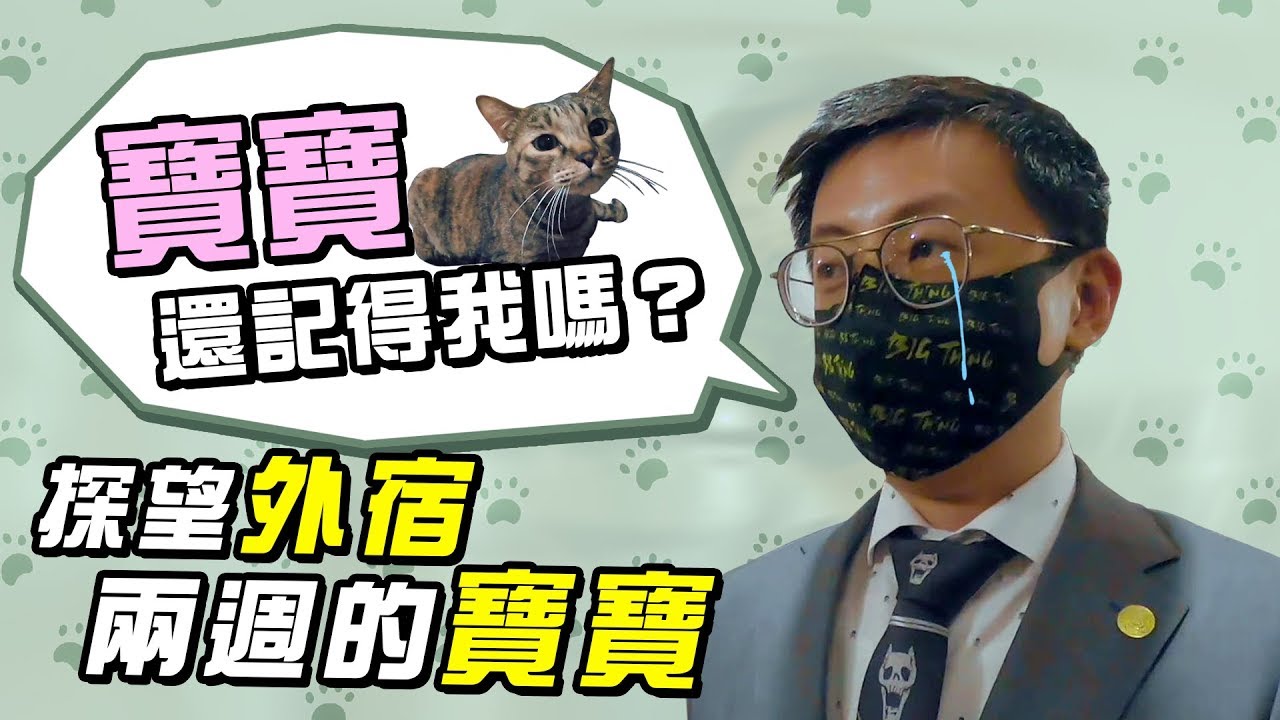 【LiFe】探望外宿兩週的寶寶！寶寶還記得呱吉嗎？