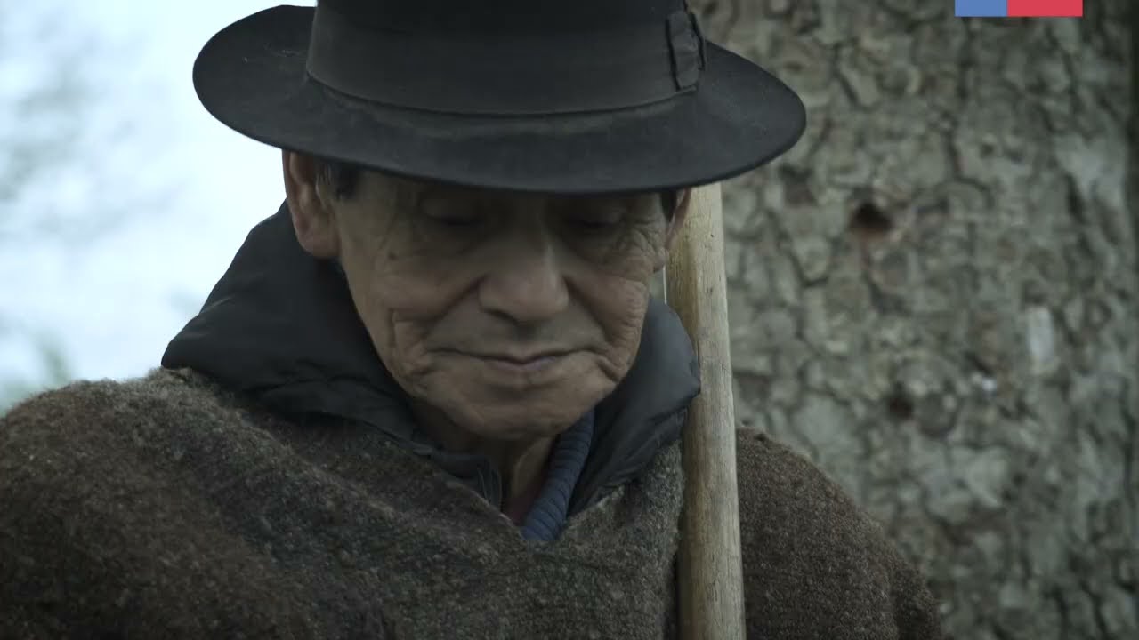 Capítulo 12  Kuifi pepiluwun zugu