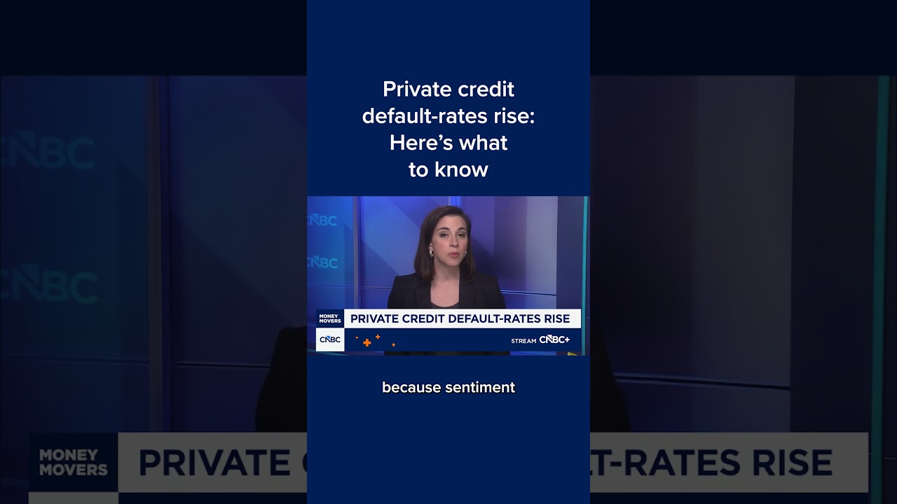 Private credit default-rates rise: Here's what to know