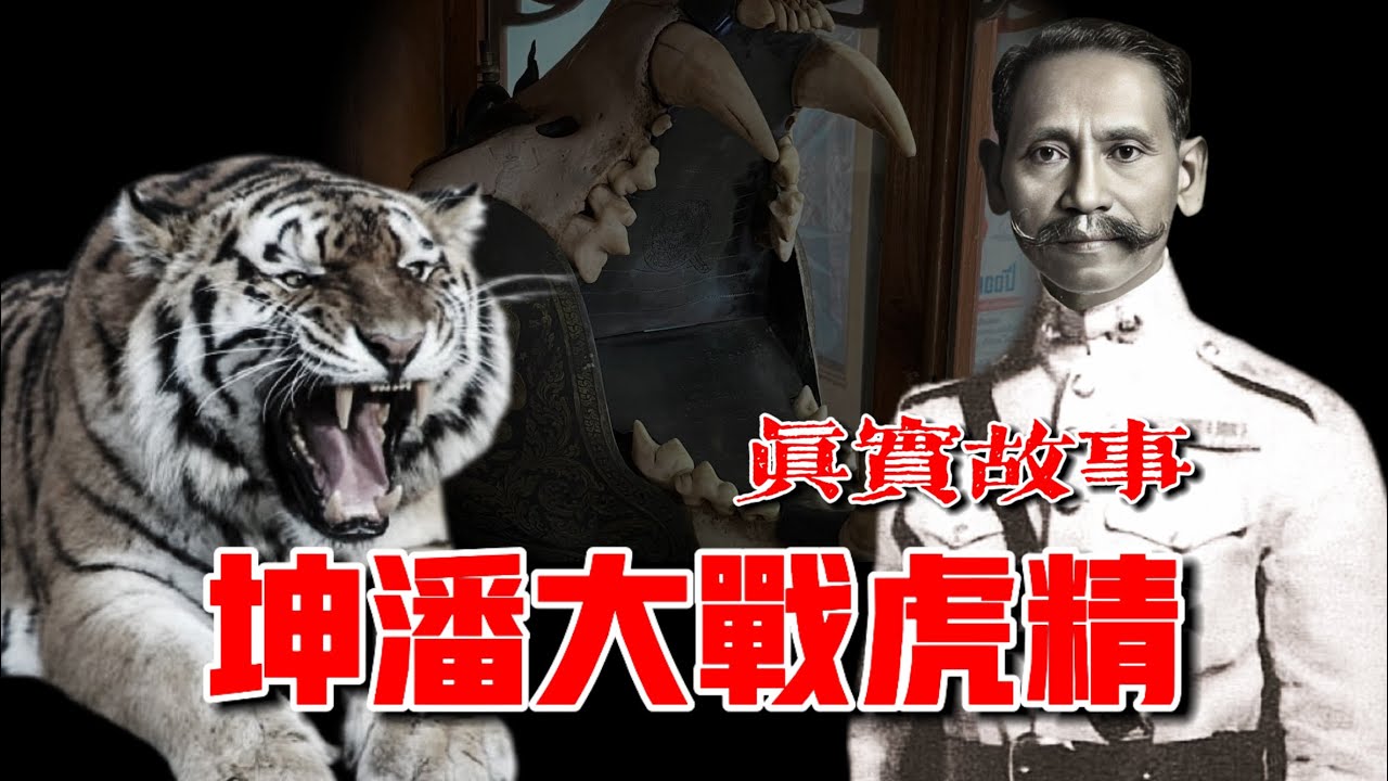 真實故事！！坤潘大戰虎精！！【AhJie泰文化】