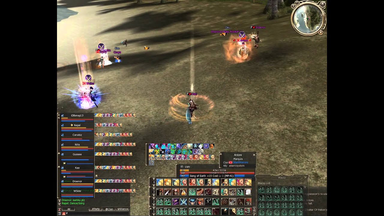 Lineage || High Five - Naia SWS PvP