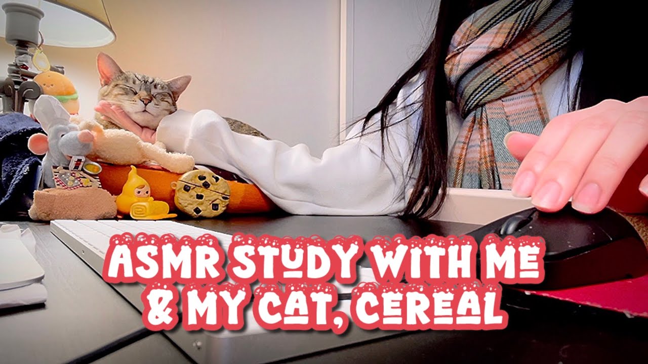 You Don’t Have To Be Productive, Just Sit Here | ASMR | Keyboard Typing & Cursor Clicking