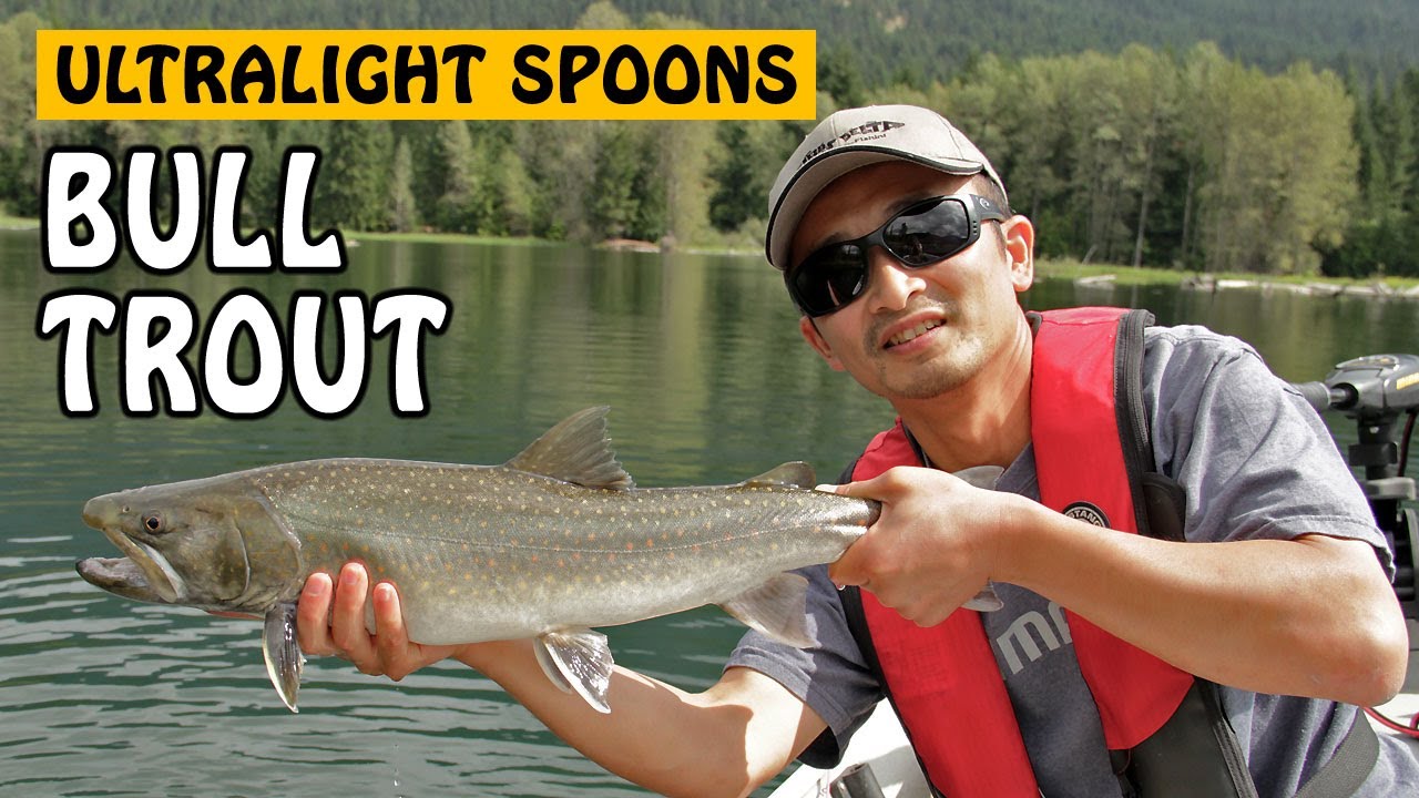 Ultralight Trout Spoons | Fishing with Rod