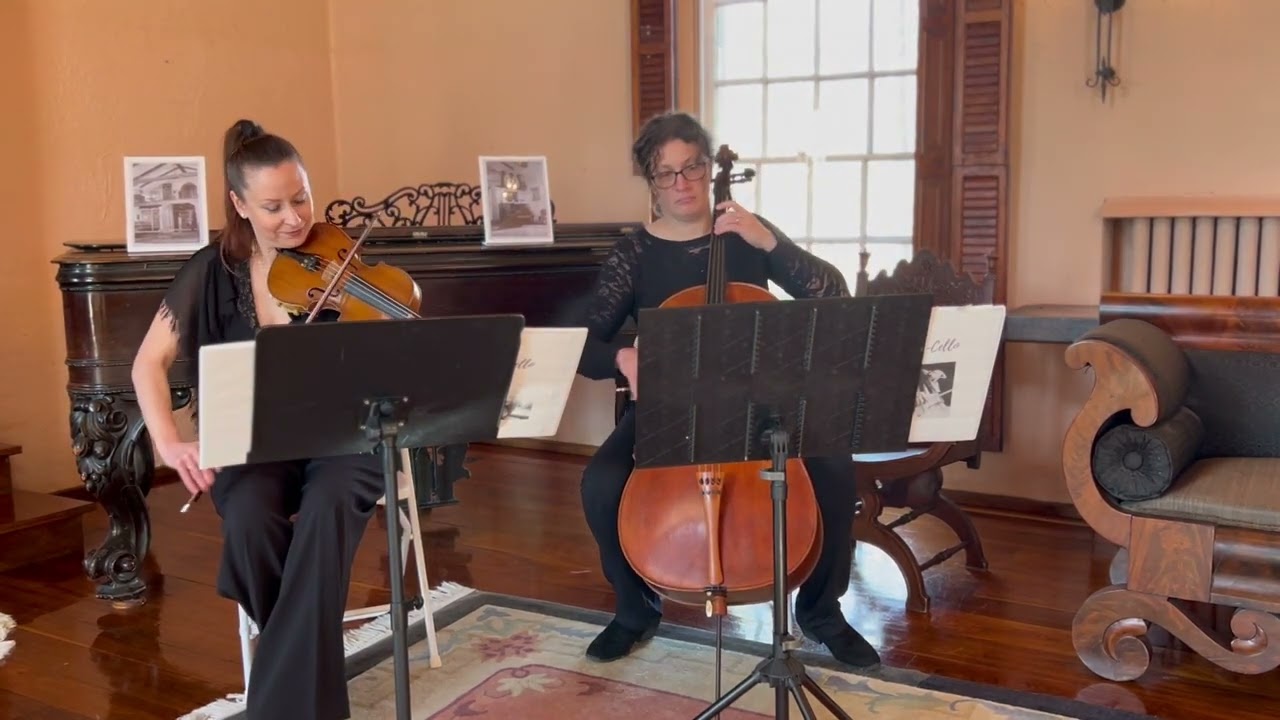 Love story - Taylor Swift (Violin- Cello cover)