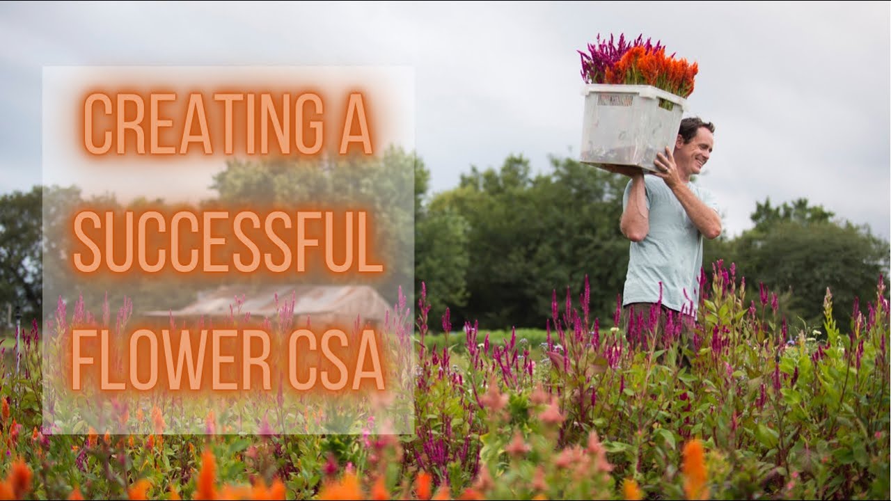 BEST TIPS For A Flower CSA | Fireside Chat | PepperHarrow