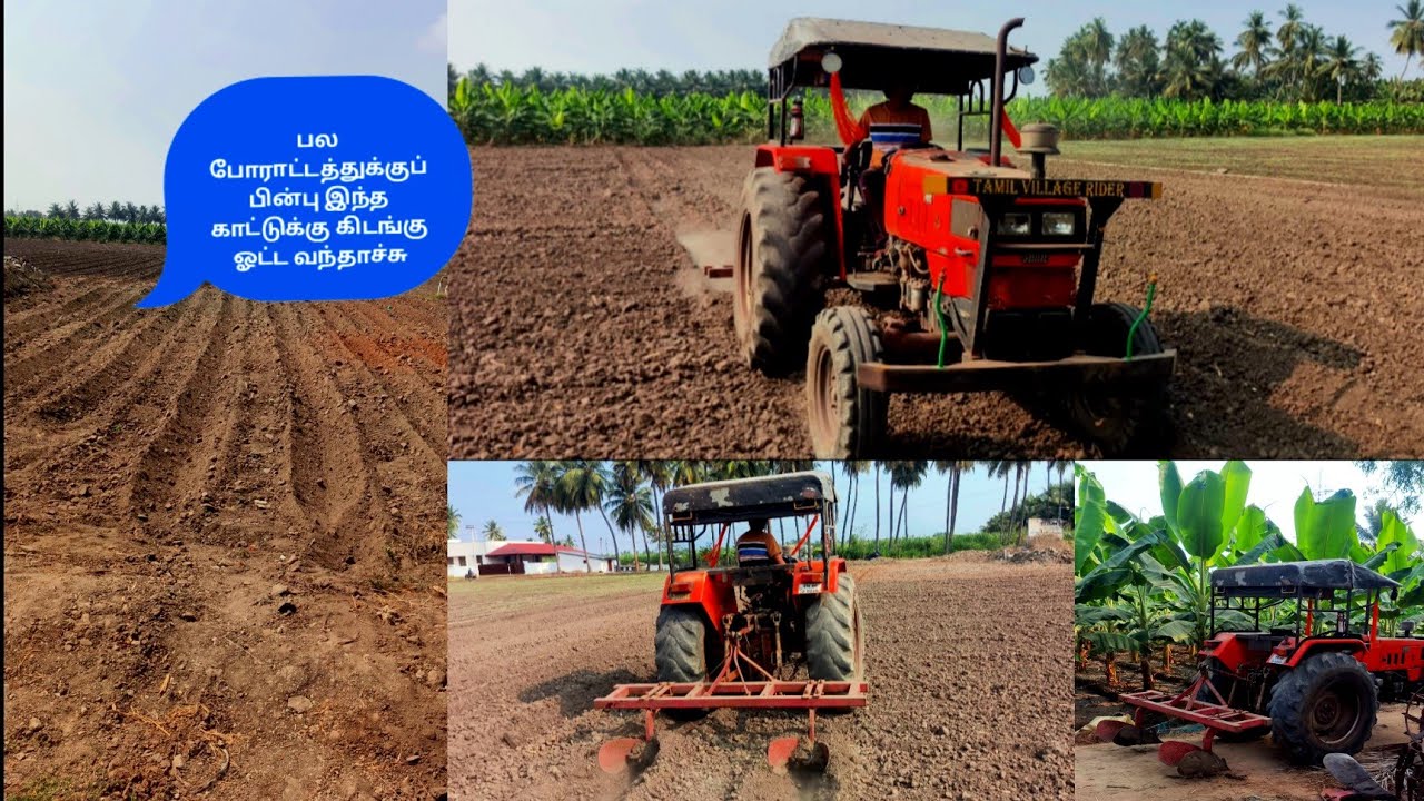👍🚜😵‍💫😵‍💫பல போராட்டத்துக்குப் பின்பு இந்த காட்டுக்கு கிடங்கு ஓட்ட வந்தாச்சு #villagevlog #farming