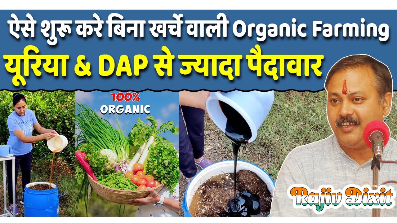 Rajiv Dixit - जैविक खेती करने का तरीका | Complete Guide to Zero Budget Organic Farming