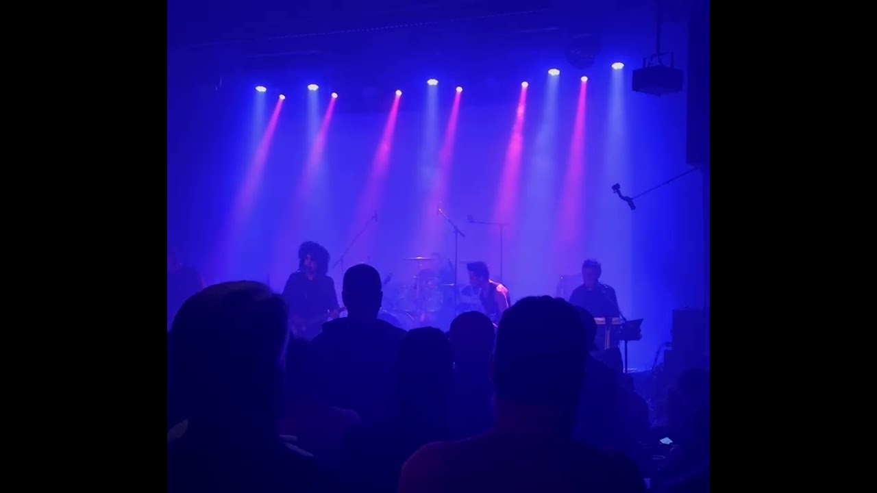 Re-Cure Shake Dog Shake at The Magic Bag 