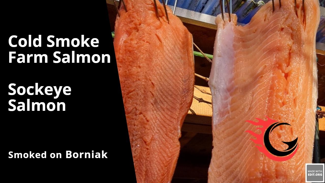 How to prepare The Best Home  made Cold Smoked Salmon & Sockeye Salmon