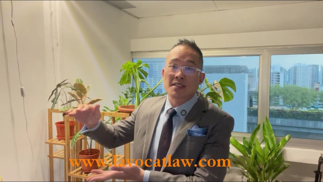 What are legal opinions?