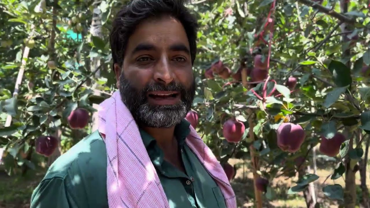 “Apple Orchard Tour – Gala Z1 & SS2 Varieties | Graft Sticks Available”