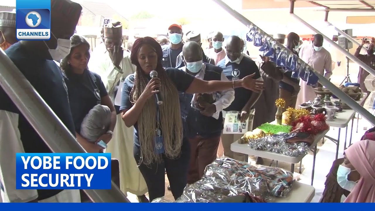 Yobe Food Security: WFP, Yobe Govt Train Victims Of Insurgency