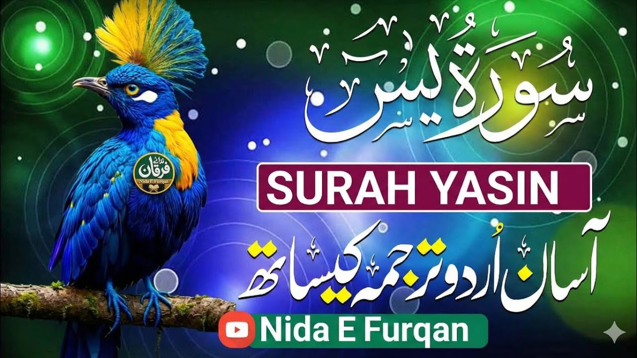 Surah Yasin | Surat Yaseen with Urdu Translation | Quran Tilawat Beautiful Voice | Hindi Tarjuma