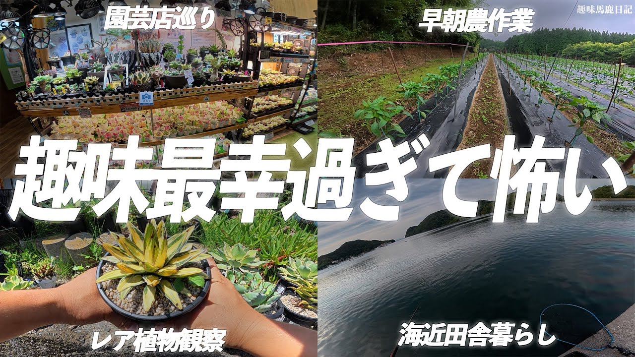 趣味に狂いすぎたら人生が明るすぎた件【釣り×植物×田舎暮らし】