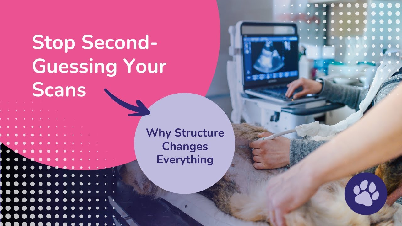 Stop Second-Guessing Your Scans: Why Structure Changes Everything