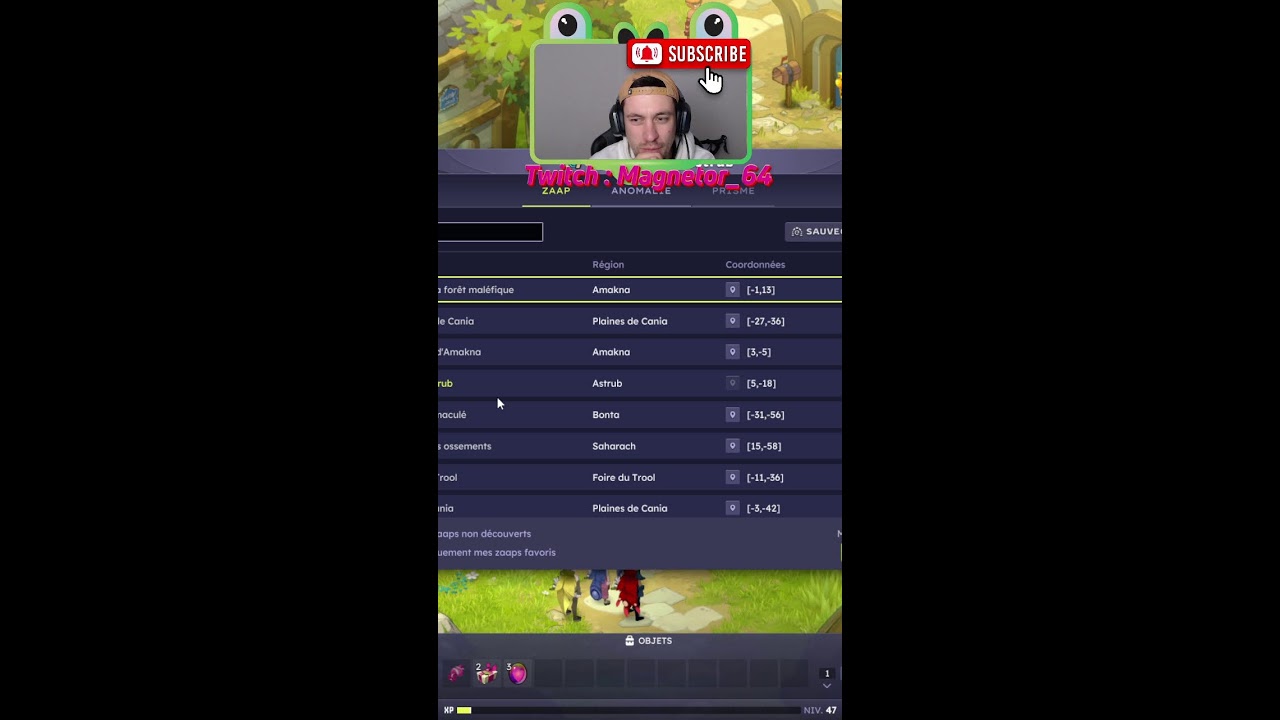 Dofus Gaming, jeu vidéo chill !