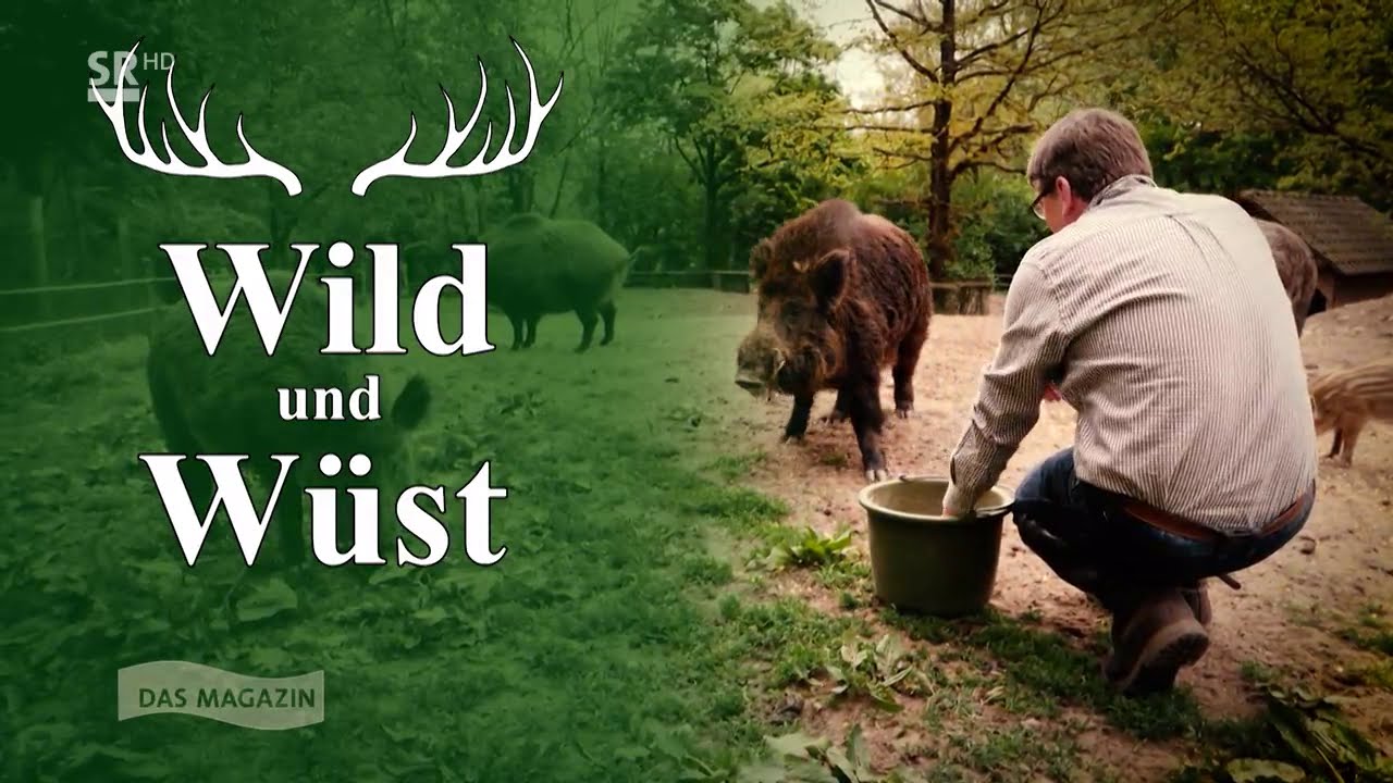 „Wild und Wüst“ – Bäche im Wandel (SR Fernsehen)