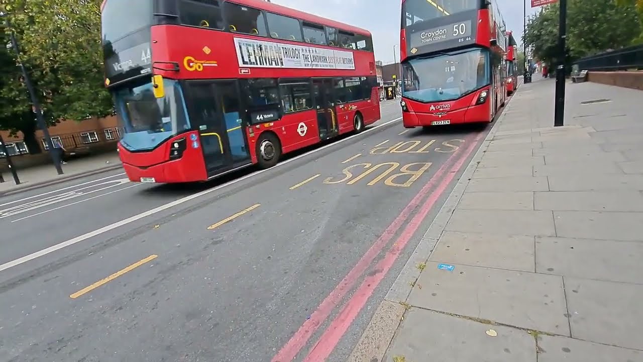 Stockwell Station Bus Observations 31/08/2024