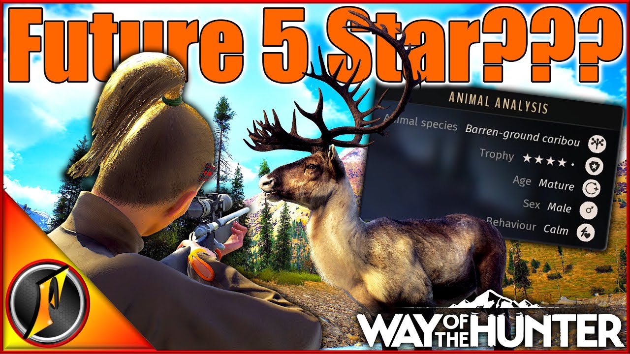 Future 5 Stars in the Making?!? | Hunting Aurora Shores Trophies!