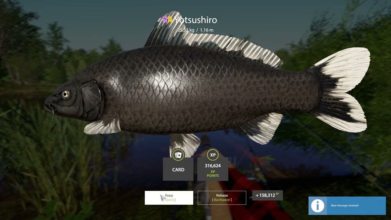 Russian Fishing 4 - Trophy Yotsushiro Carp / Copper lakr
