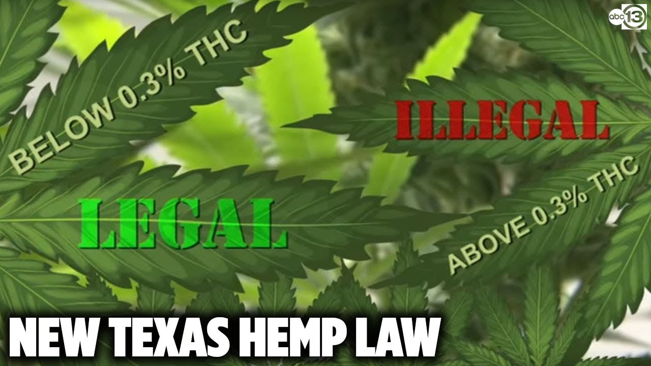 New Texas hemp and CBD law could snuff out marijuana prosecutions