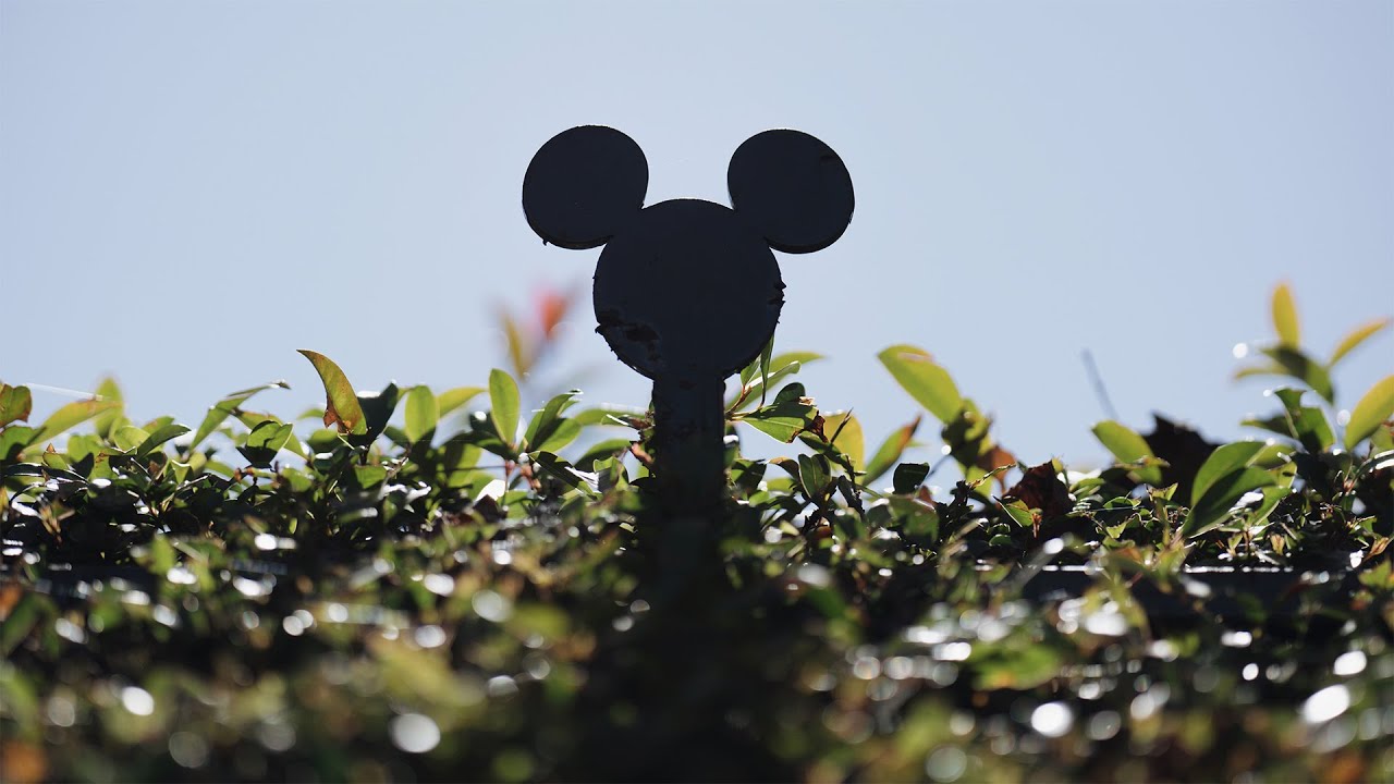 Disney Embroiled in a Proxy Battle