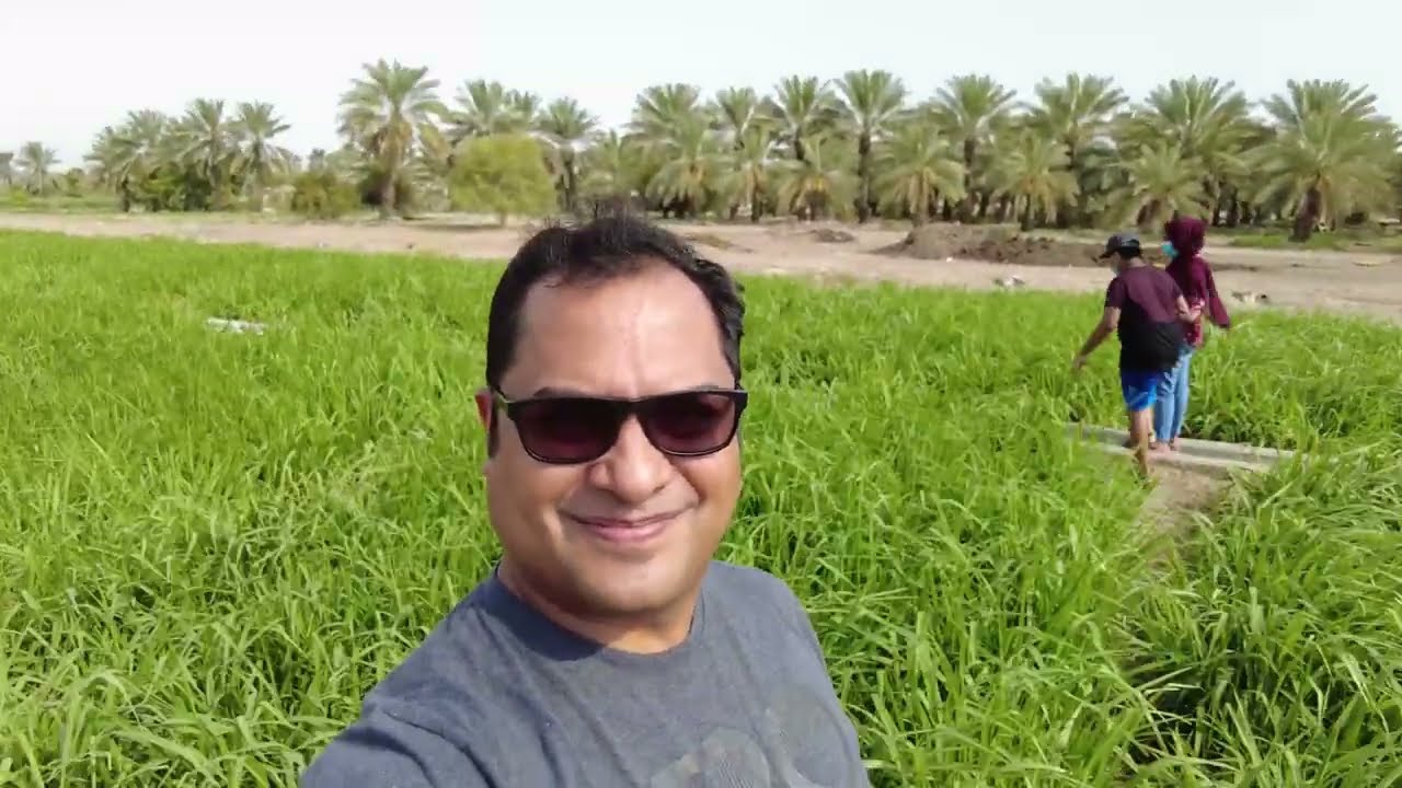 A Visit to Ajman Red Fort , Farm
