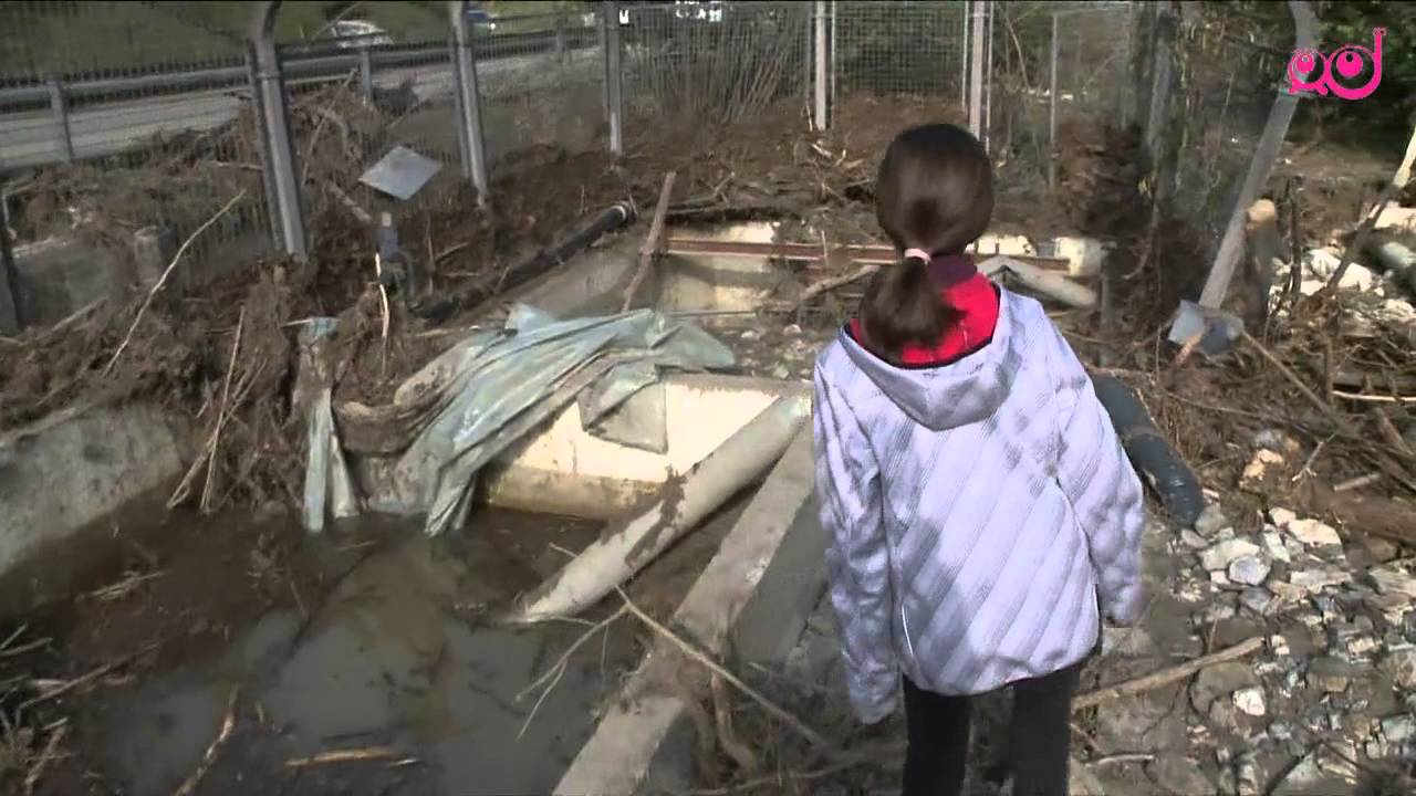 Infodrom: Teden dni po poplavah