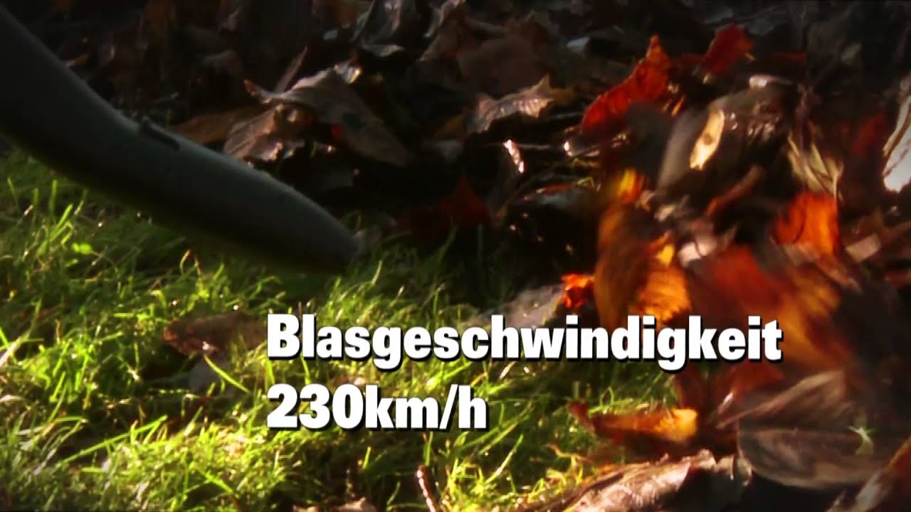 Worx WG568E 40V Akku Laubbl&auml;ser