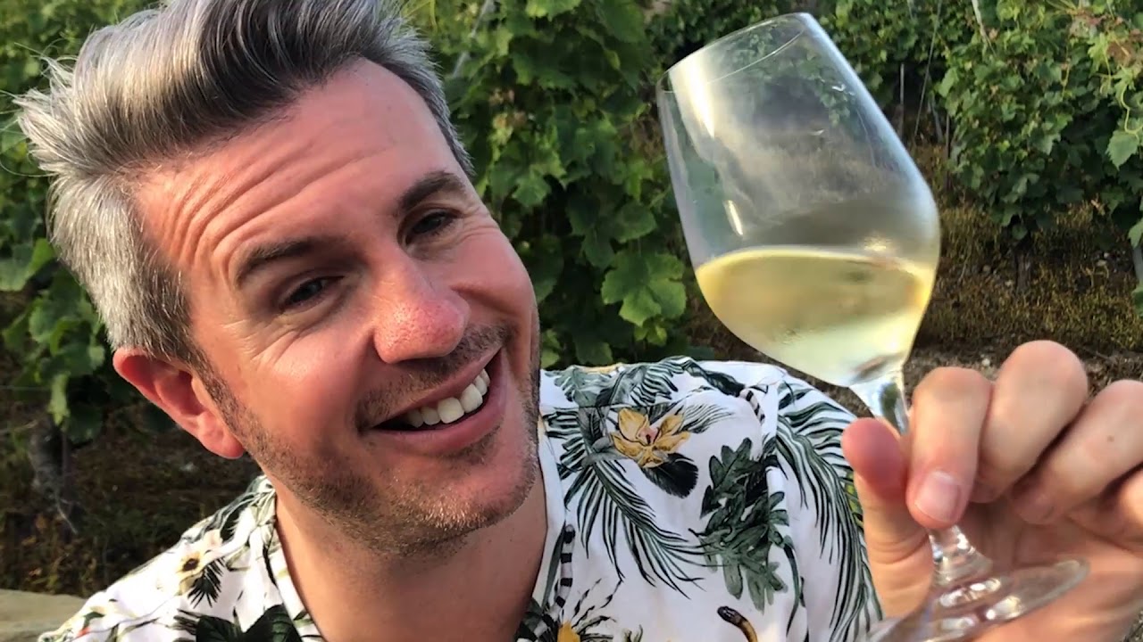 Balade dans les vignes suisses / Marc Checkley, sommelier freelance l'Amigne de V&eacute;troz JR Germanier