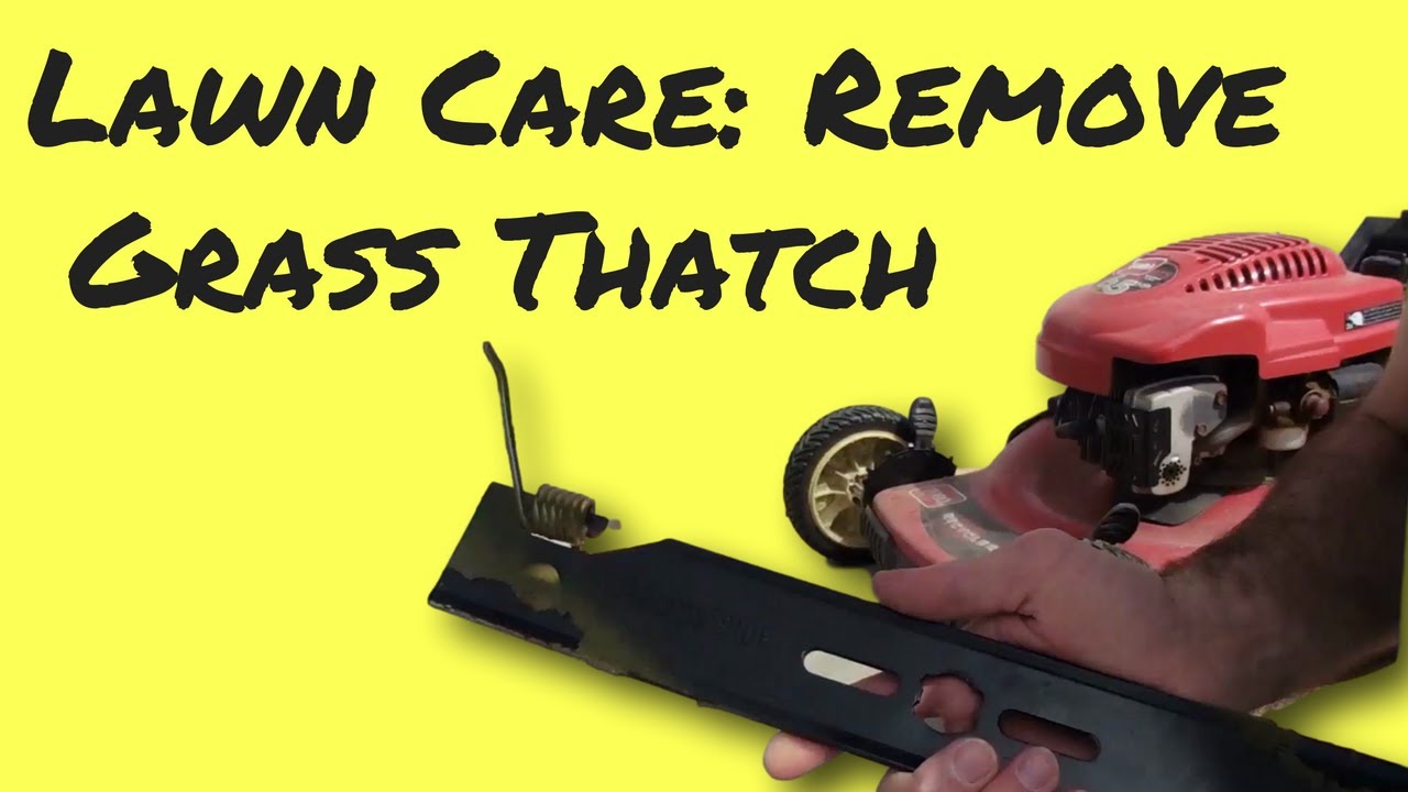 Dethatch a Lawn with a Thatching Blade on Mower