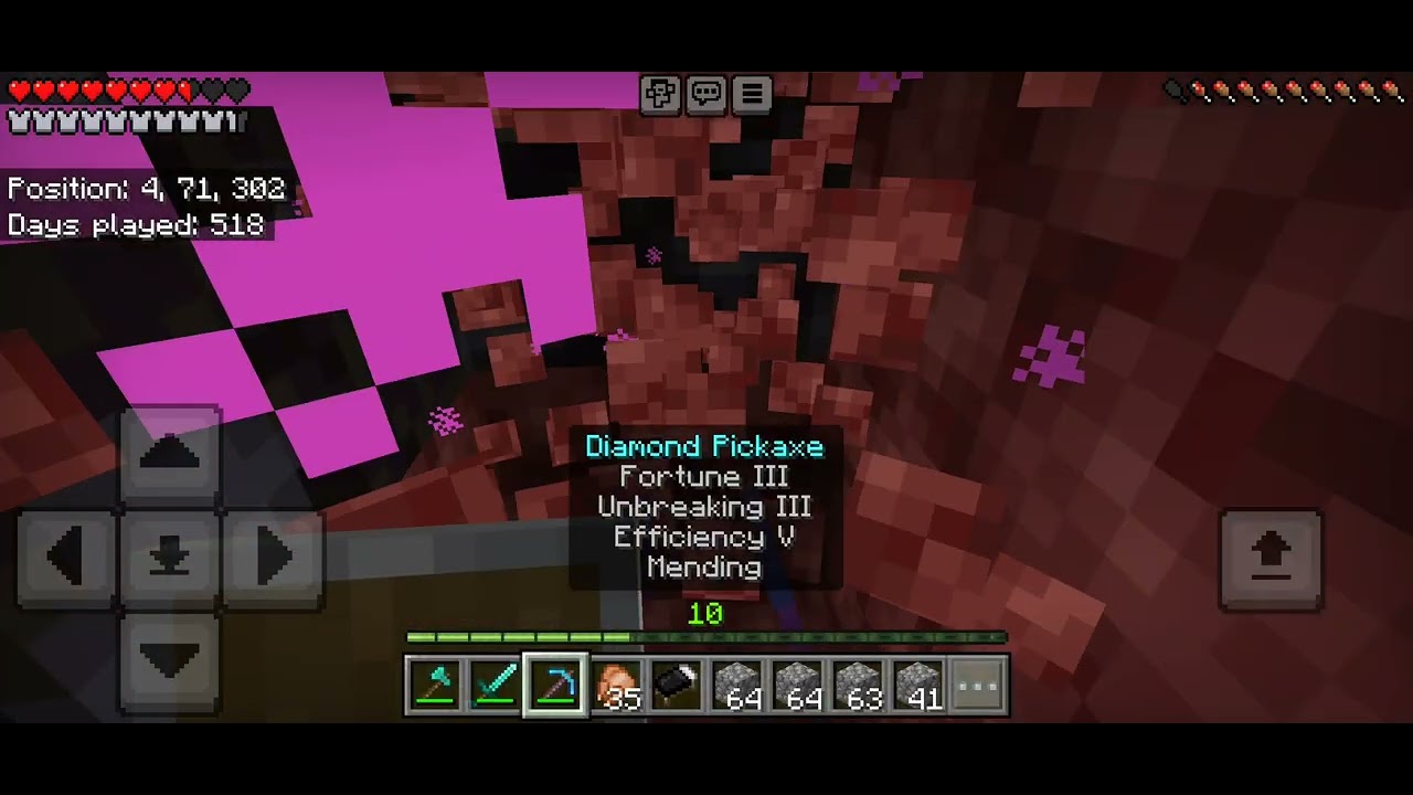 minecraft survival day 519
