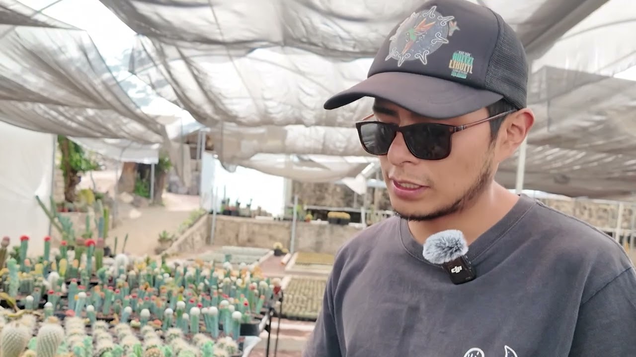 Producci&oacute;n de Cact&aacute;ceas y Suculentas &ndash; UMA El Viejo Cactus &ndash; Metztitl&aacute;n, Hidalgo