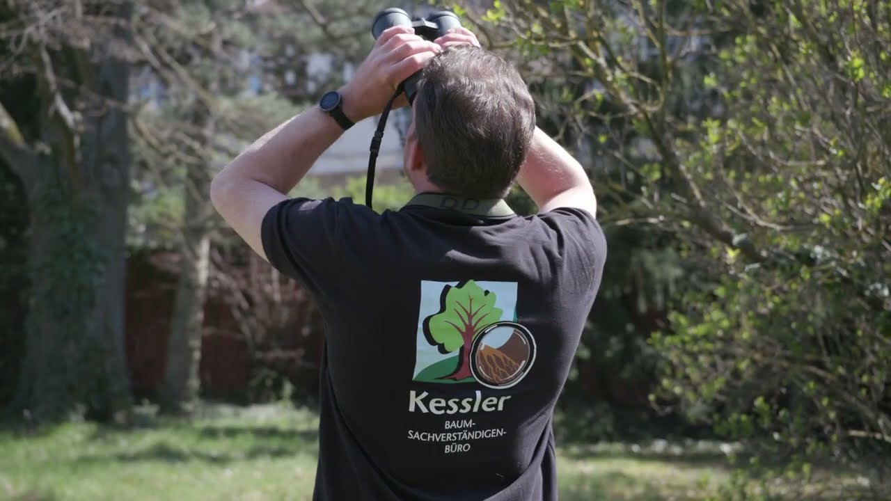 Kessler Baumsachverständigen-Büro - Stuttgart - Ingo Kessler