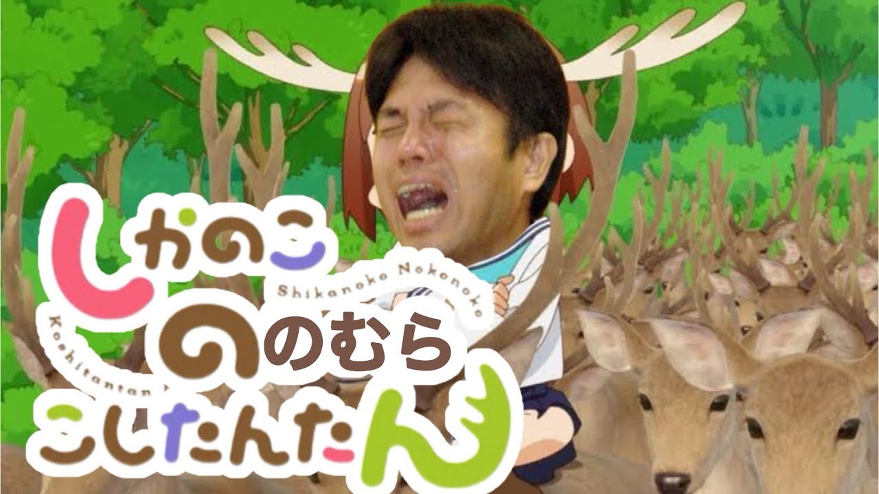 ノノ色デイズ(シカ色デイズ×野々村議員)【音MAD】 【しかのこのこのここしたんたん】【野々村竜太郎議員】