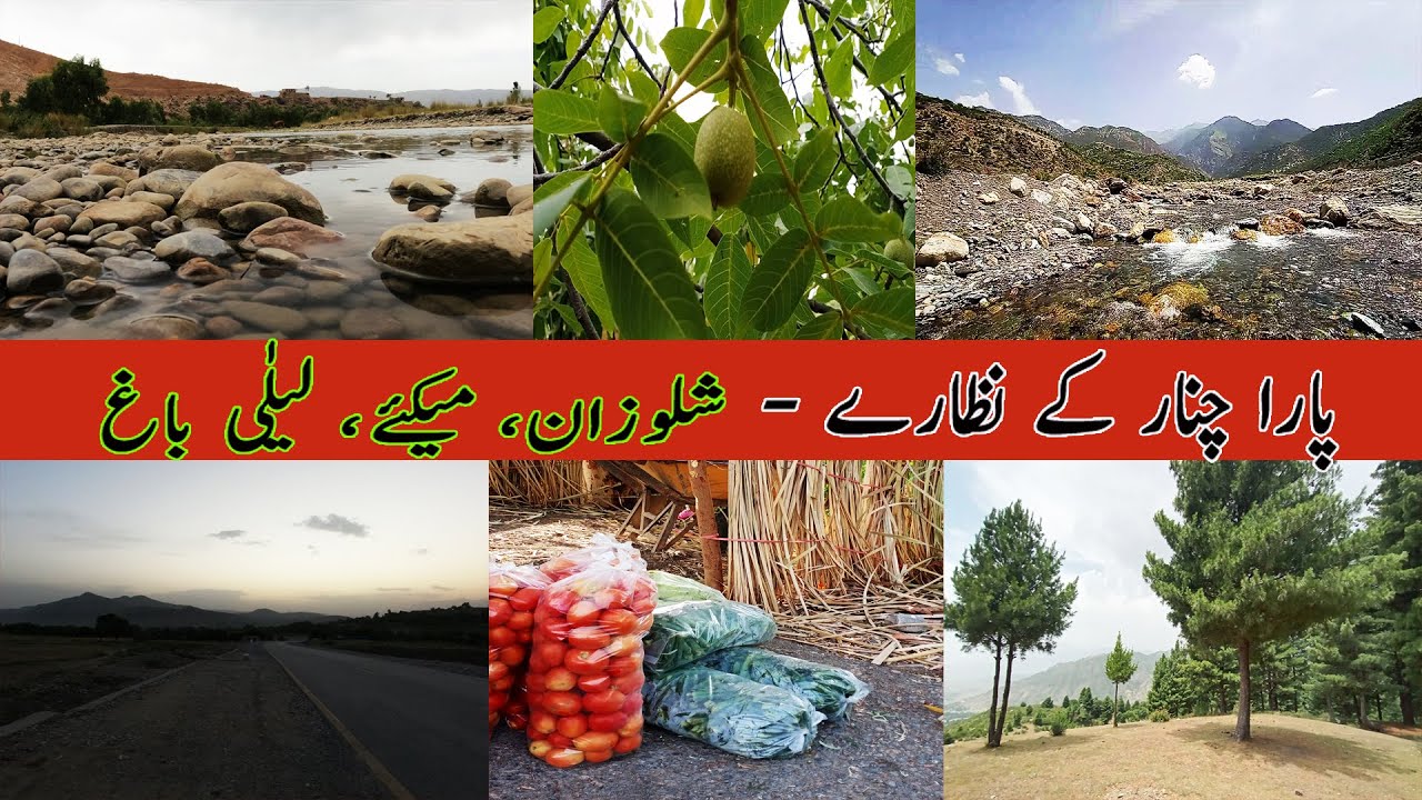 Discover the Magical Beauty of Pakistan's Hidden Gem - Parachinar!
