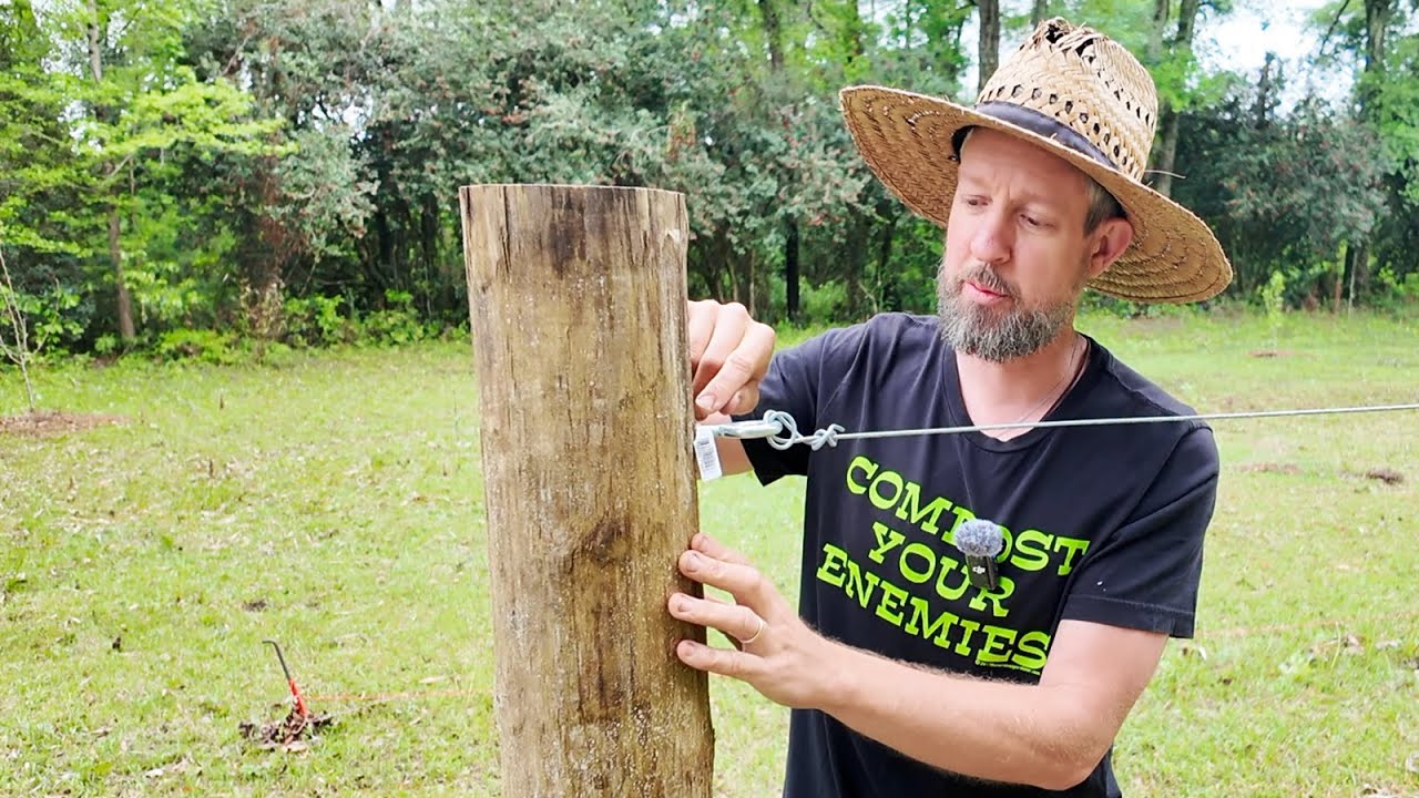 Single Wire Grape Trellis Dimensions, Setup and Tips for Muscadines