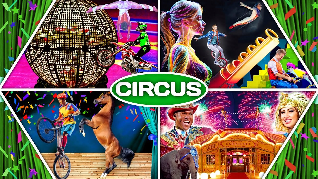 Insane Circus Video 😜 that you need for your Fun & Happiness 👍 Enjoy