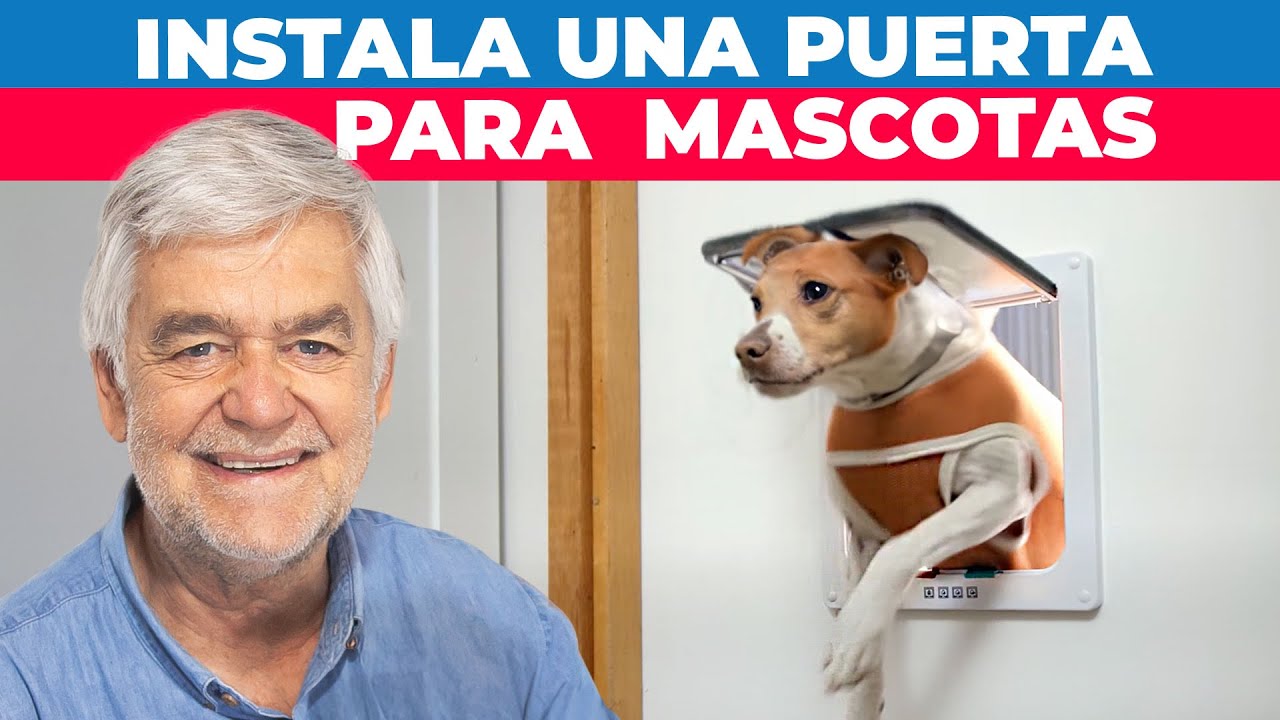 Cómo instalar una puerta para mascotas