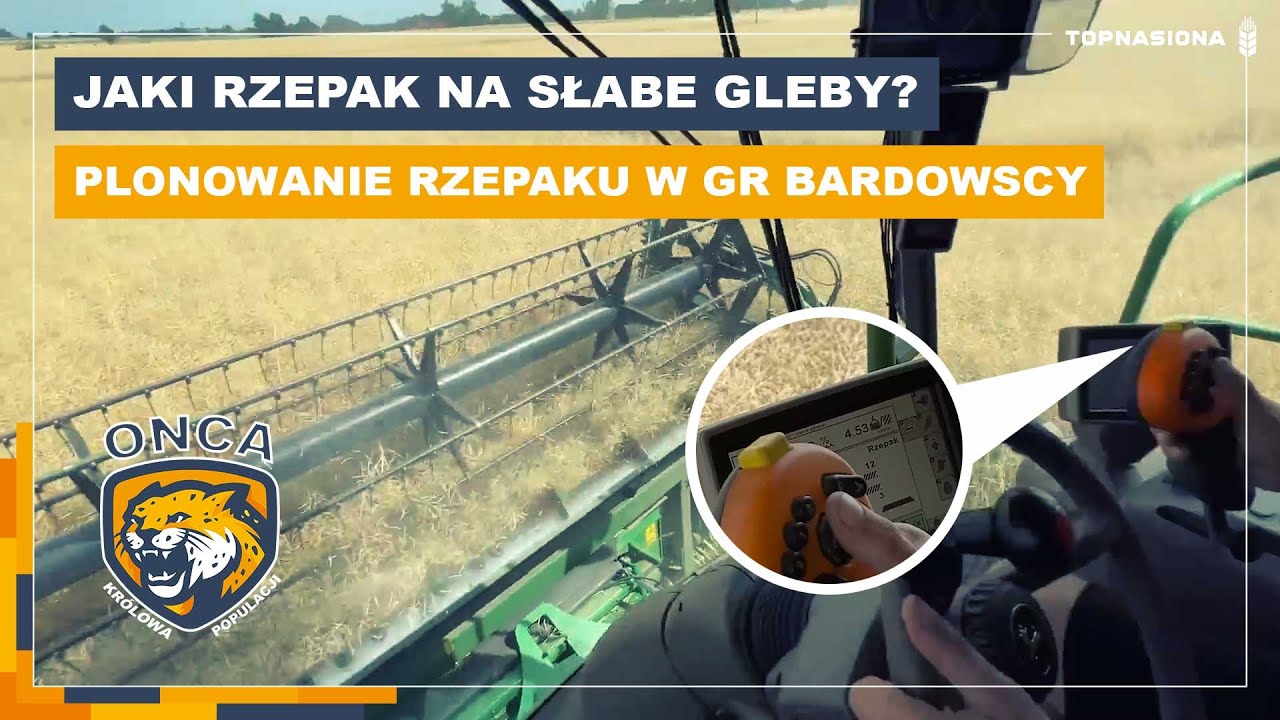 🌱 Jaki rzepak na słabe gleby? | Odmiana populacyjna ONCA | Top Nasiona
