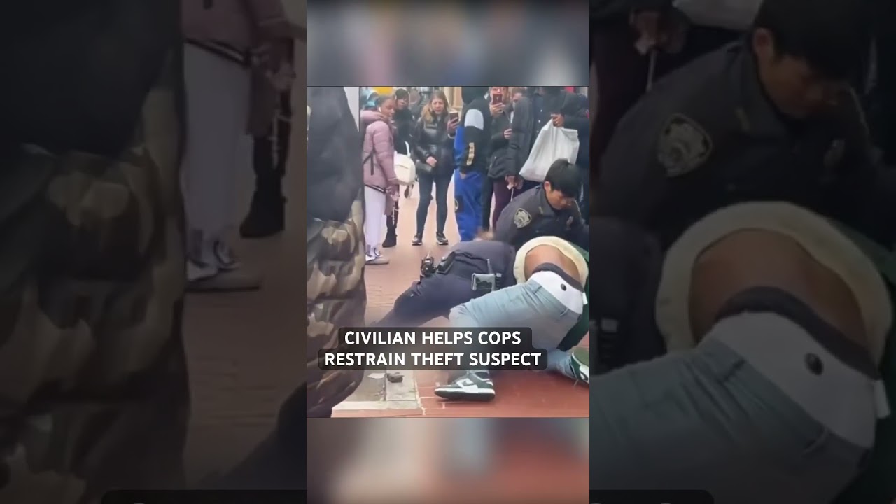Civilian helps cops restrain theft suspect #nypd #shorts video credit queens media nyc