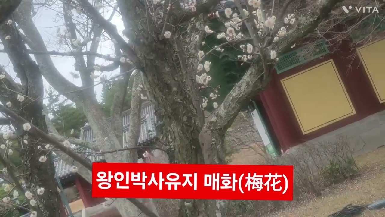 윈포인트문화유산(관광)해설