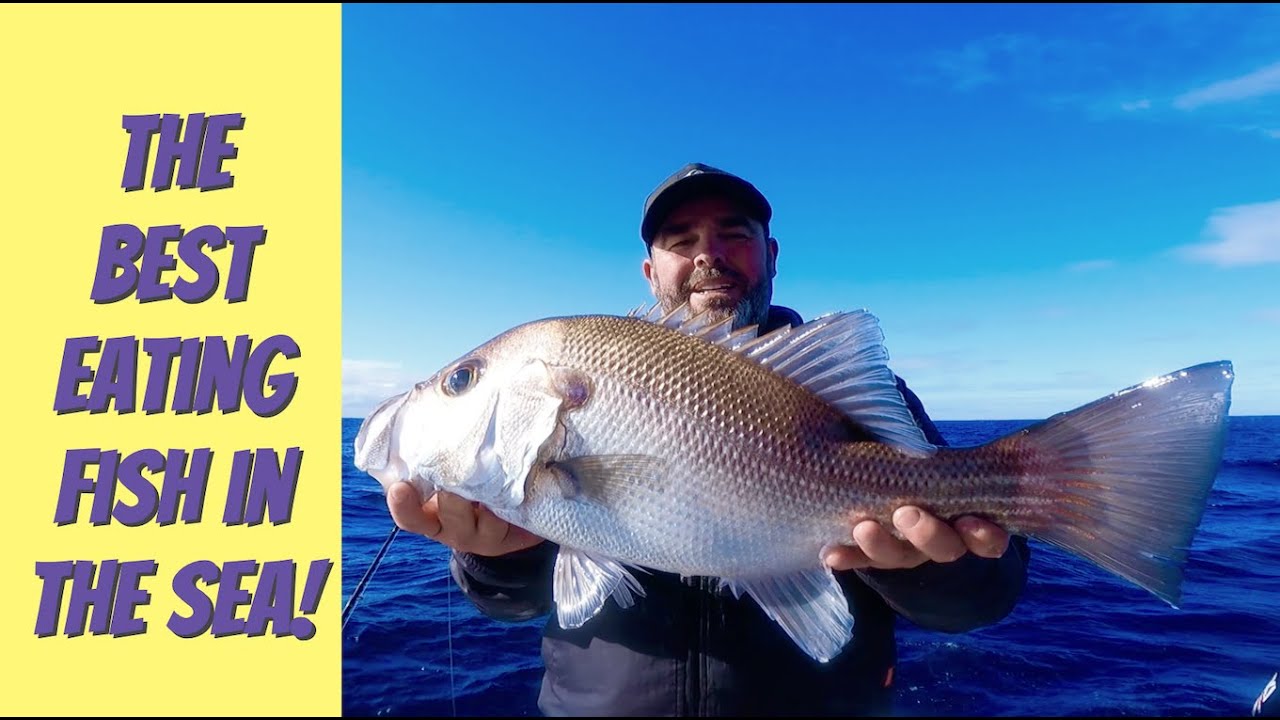 Fishing for Pearl Perch! One of the best eating fish in the sea!!!