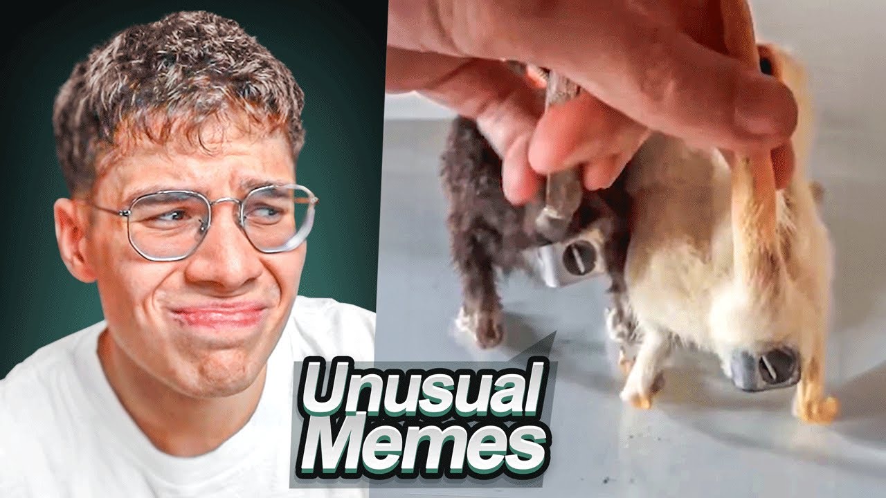 ESTO ESTÁ EDITADO... O NO?