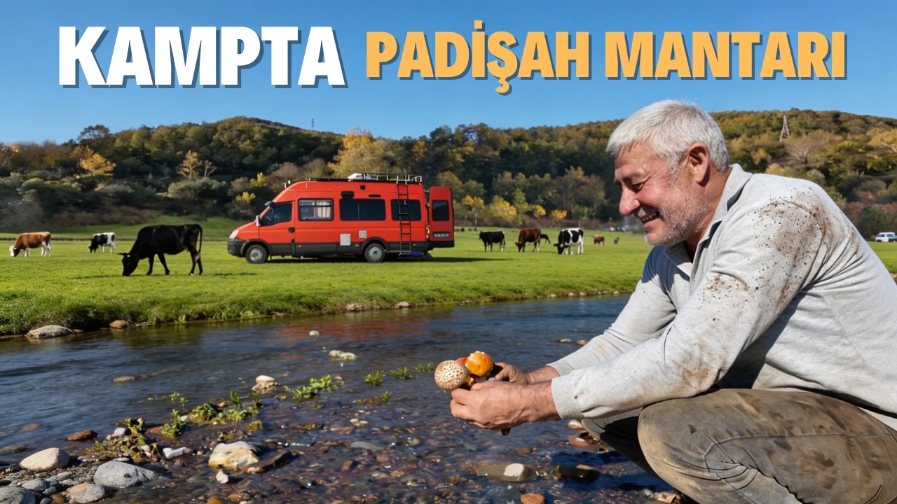 Kampta Padişah, Sezar ve Döbelen Mantarları 🍄 | Doğadan Gelen Sürpriz