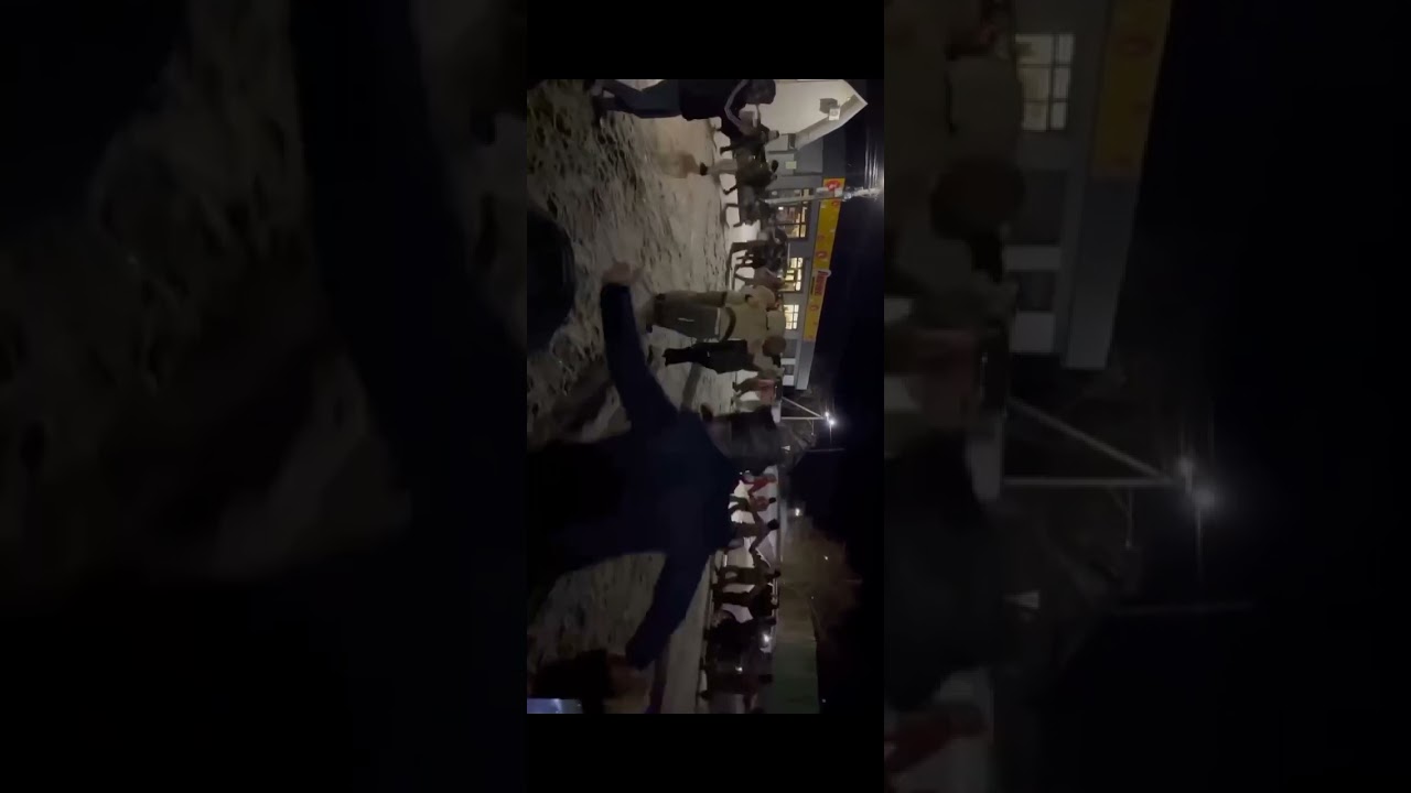 маланка великий кучурів 2024 частина 1