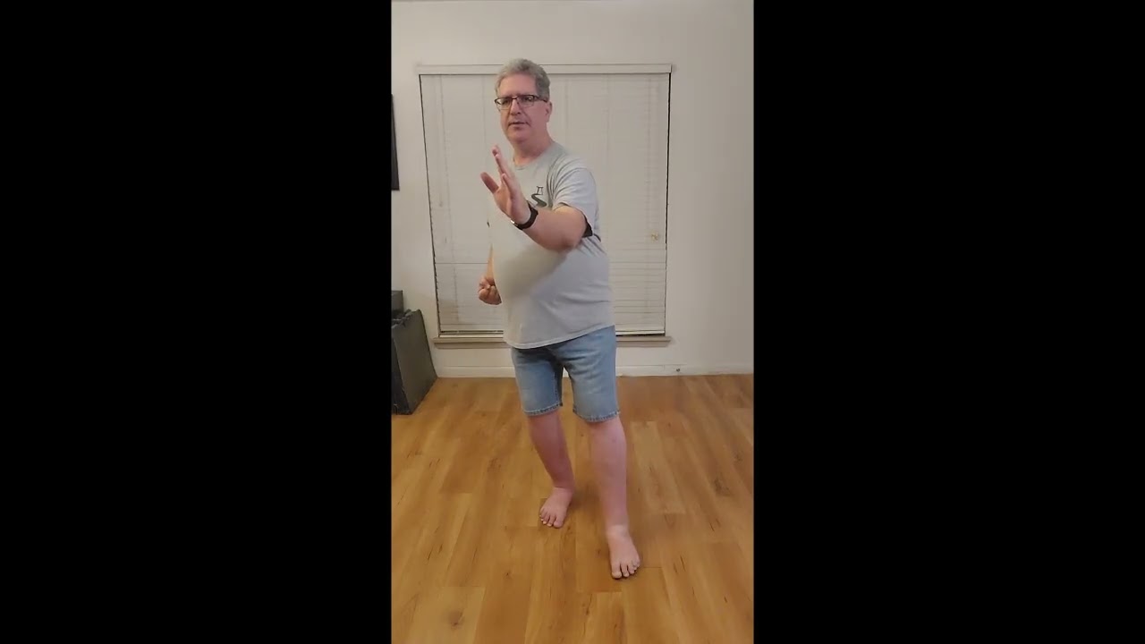 041 Pat the High Horse and Step up, Diverting and Blocking Punch